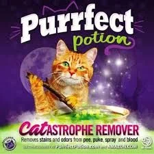 Purrfect Potion Merchant Logo