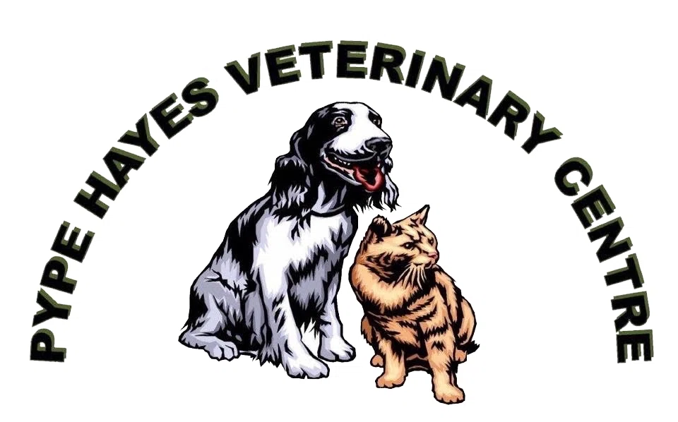 20% Off Pype Hayes Veterinary Centre Promo Code Oct '24