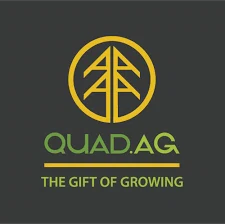 The Quad Agency Merchant Logo