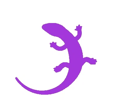 Quizgecko Promo Code