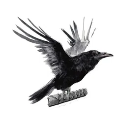 Raven Route Merchant Logo
