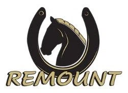 Remount Promo Code