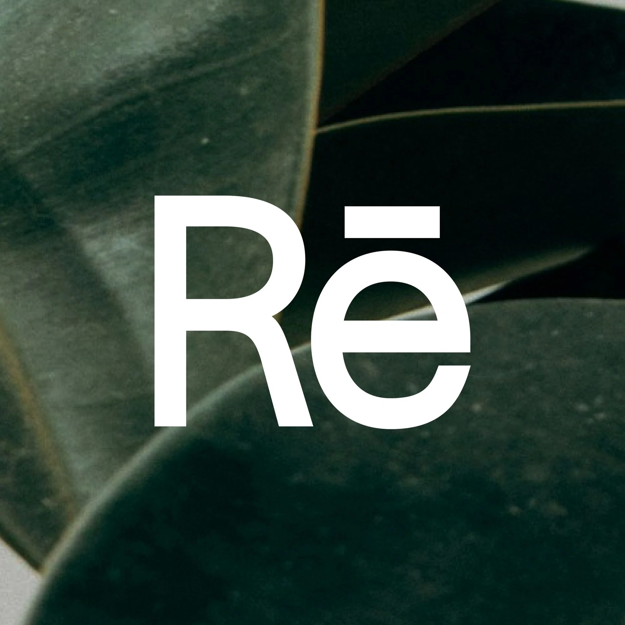 Rē Precision Health Merchant Logo