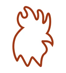 Roostas coupons
