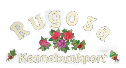 Rugosa Lobster Tours Promo Code