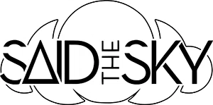 Said The Sky Promo Code