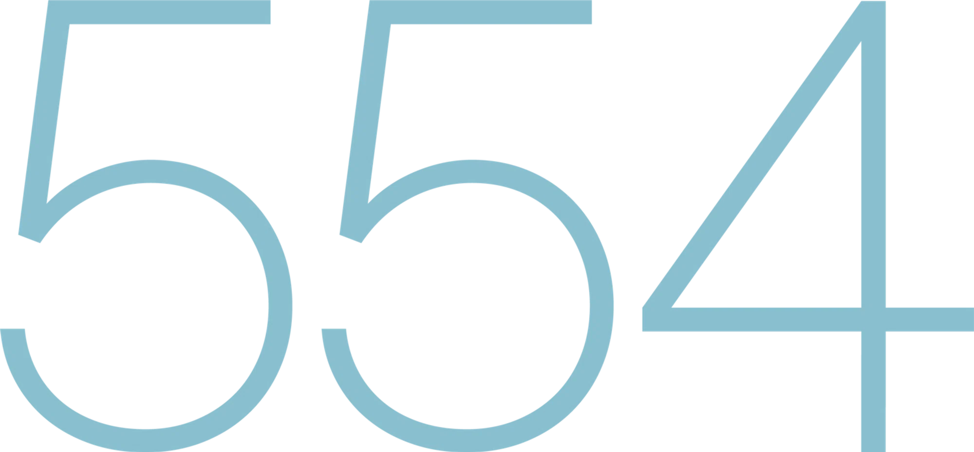 Salon 554 Merchant Logo