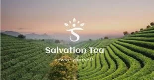Salvation Teas Merchant Logo