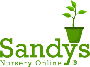Sandys Nursery Promo Code