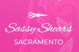 SASSY SHEARS Promo Code — Get 85 Off in March 2024