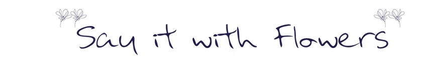 Say It with Flowers Merchant Logo
