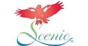 Scenic Bird Food Promo Code