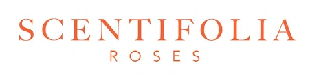 Scentifolia Roses Merchant Logo
