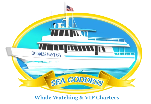 Sea Goddess Whale Watching Merchant Logo