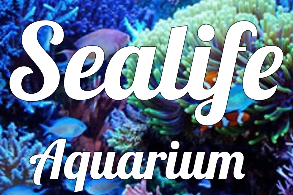 SEALIFE AQUARIUM Promo Code — 60 Off in August 2024