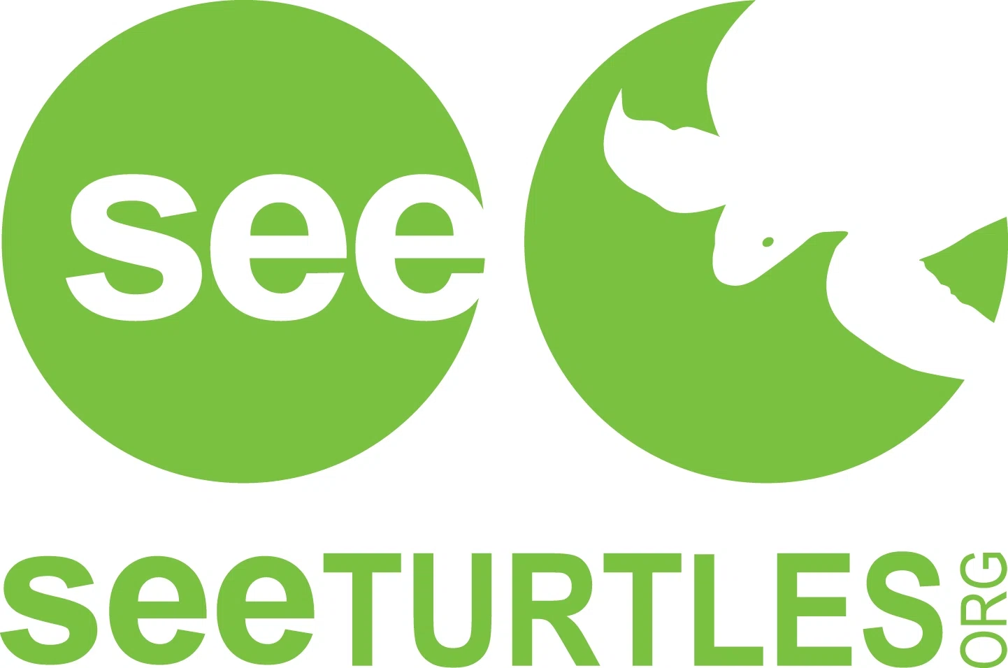 30 Off SEE Turtles Promo Code, Coupons February 2024