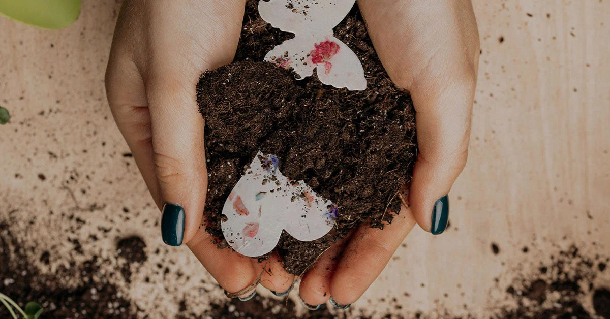 Seed Bloom Gifts Promo Code