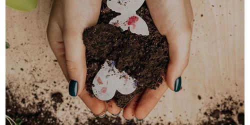 Seed Bloom Gifts Promo Code