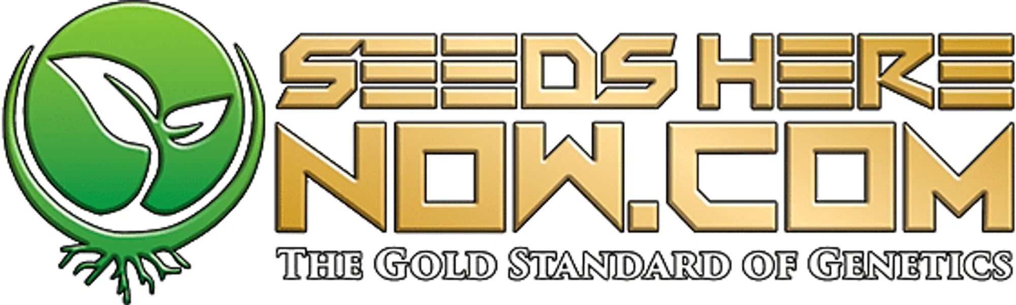 Seeds Here Now Promo Code