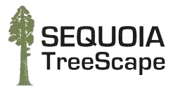 Sequoia Treescape Merchant Logo
