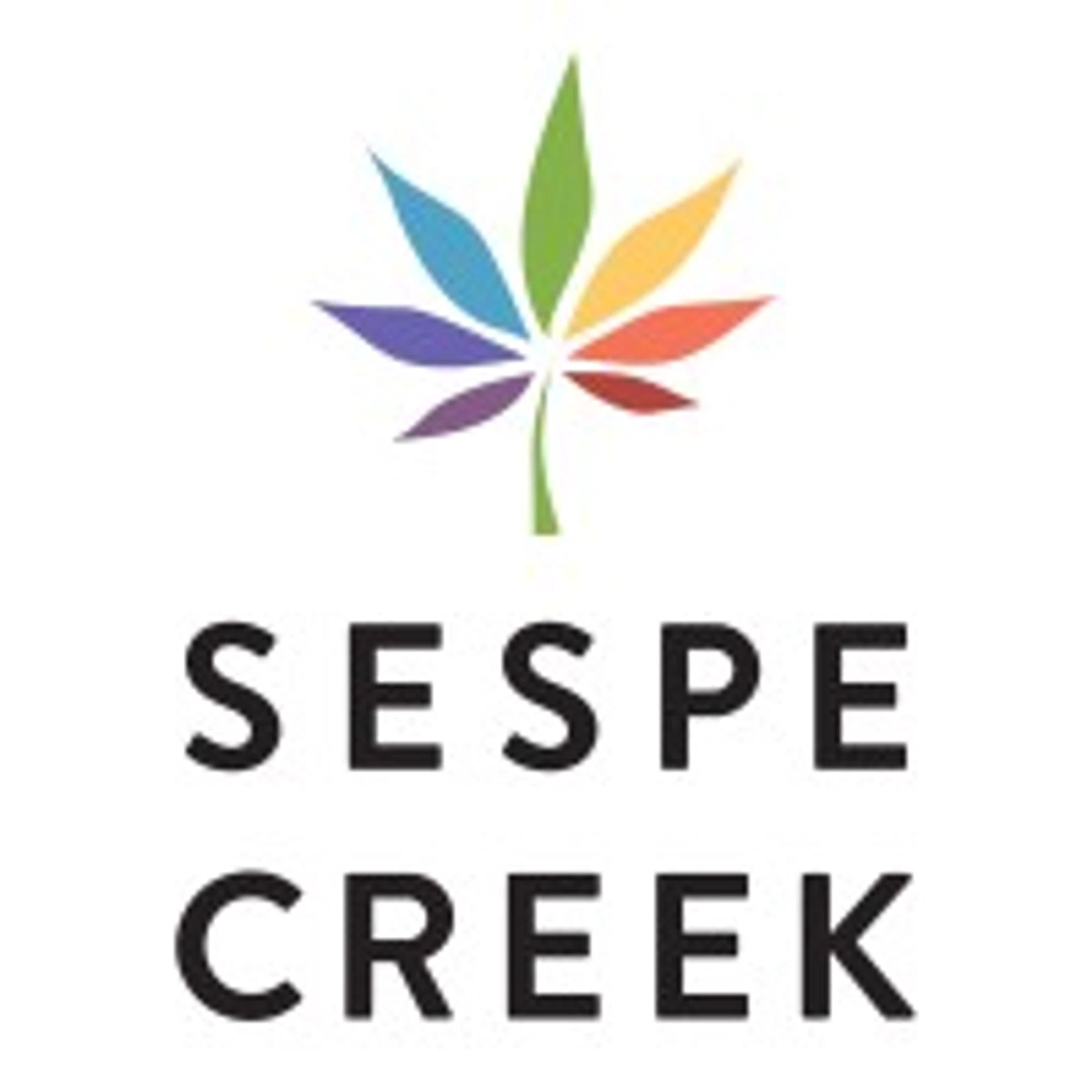 SESPE CREEK COLLECTIVE Promo Code — 100 Off 2024