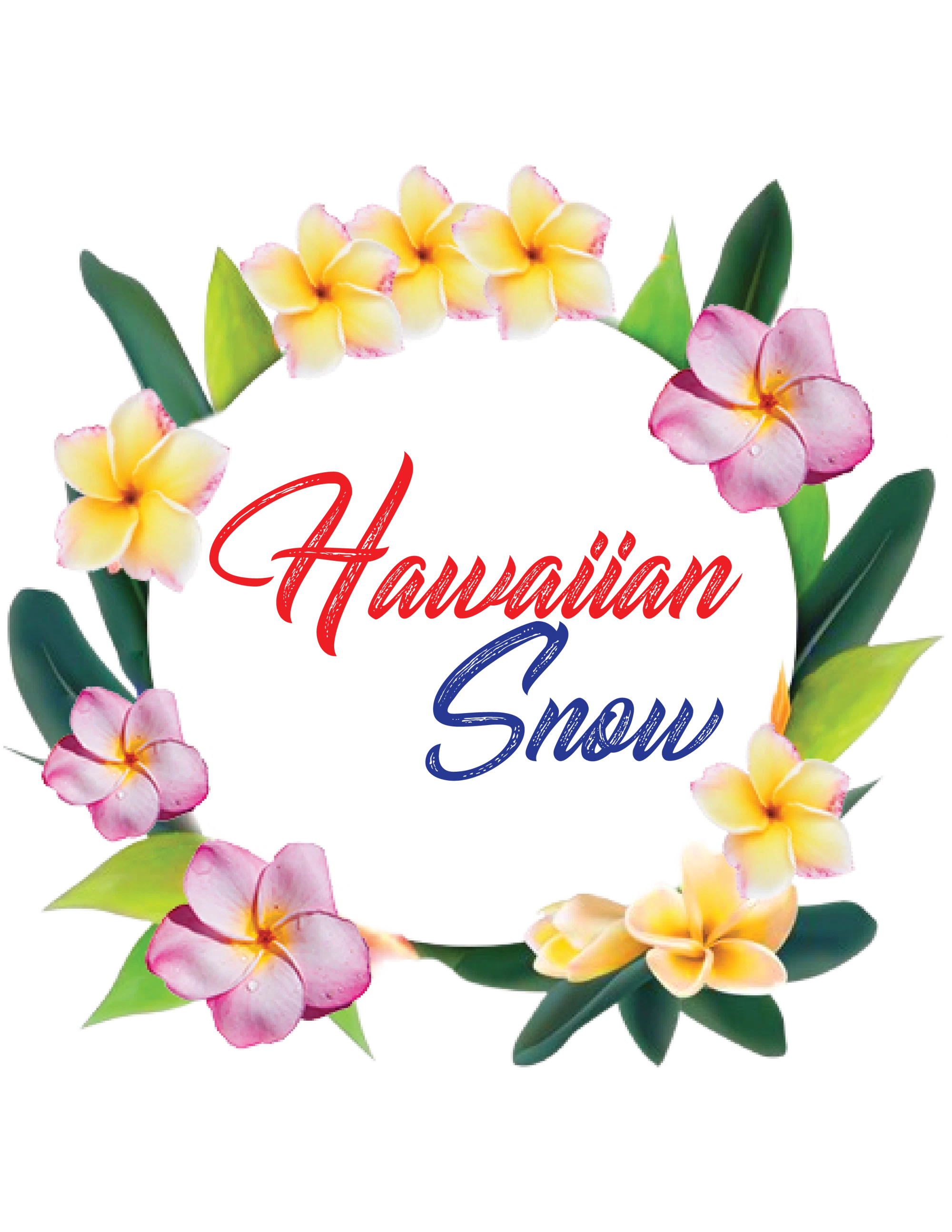 Shave Ice Supplies Merchant Logo