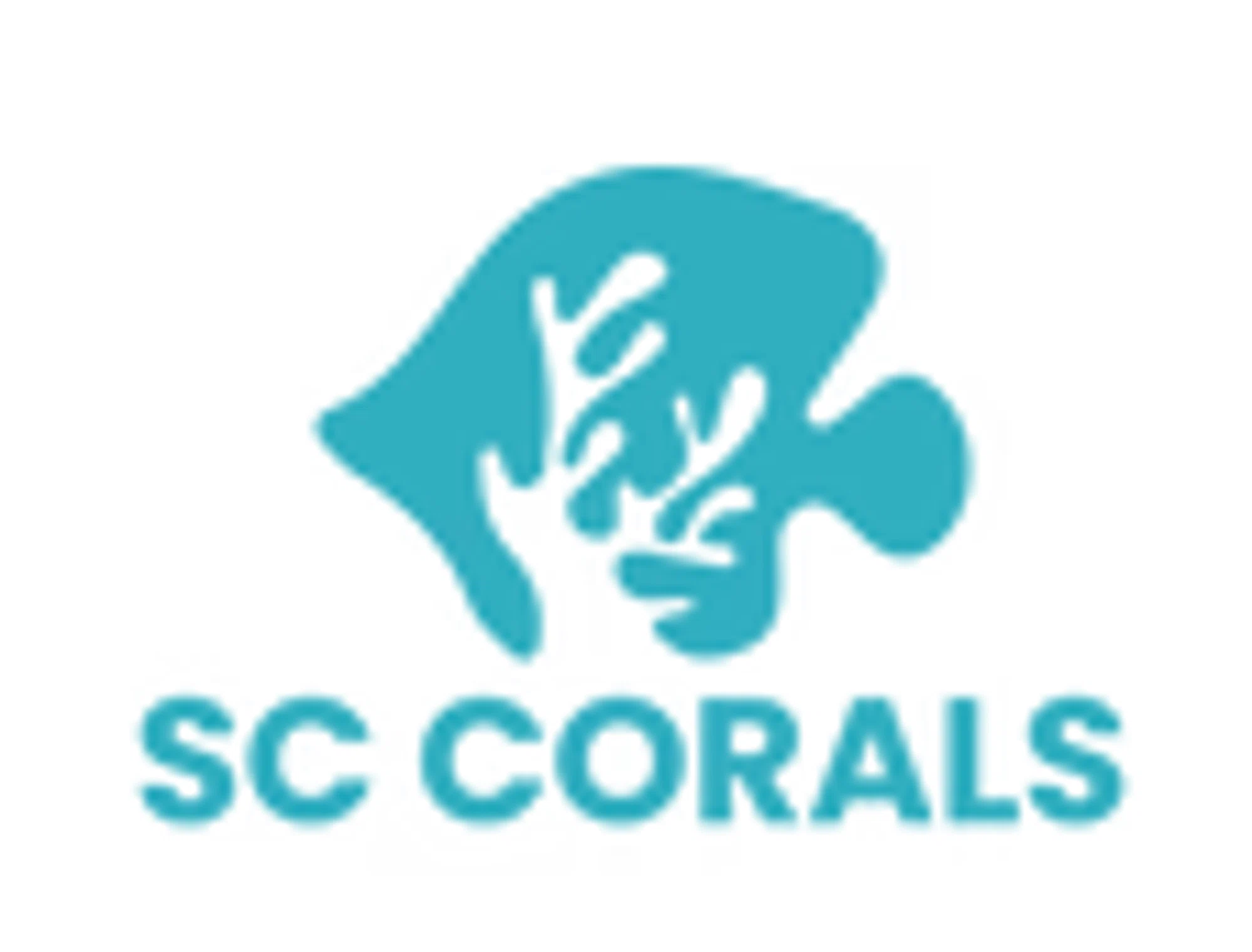Shipwreck Cove Corals Merchant Logo