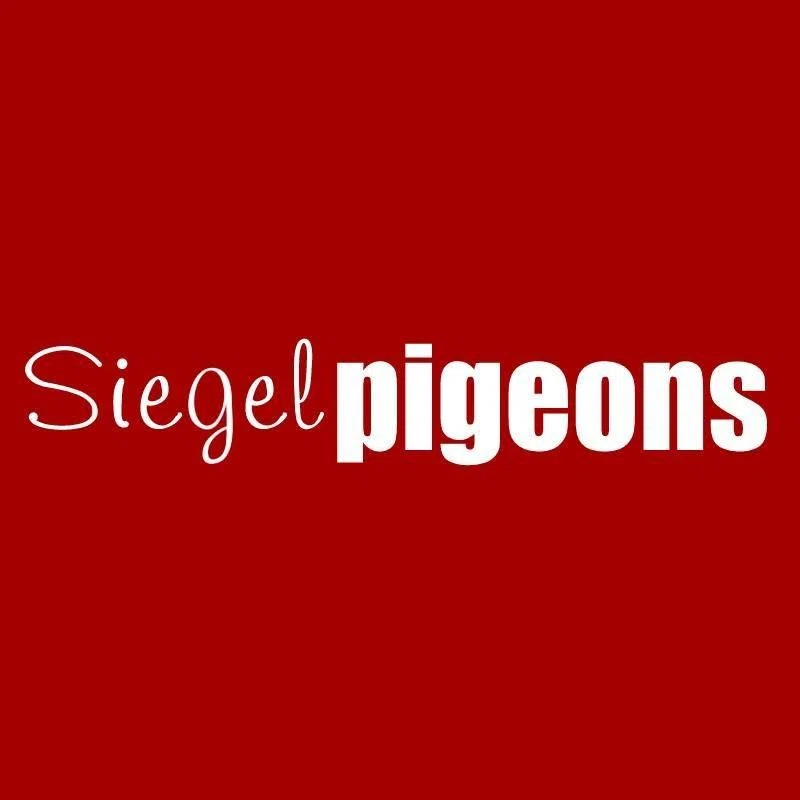 Siegel Pigeons coupons