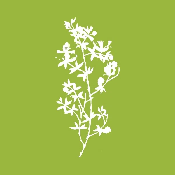 SIPHON DRAW APOTHECARY Promo Code — 20 Off 2024