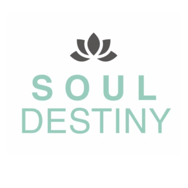 Soul Destiny Promo Code