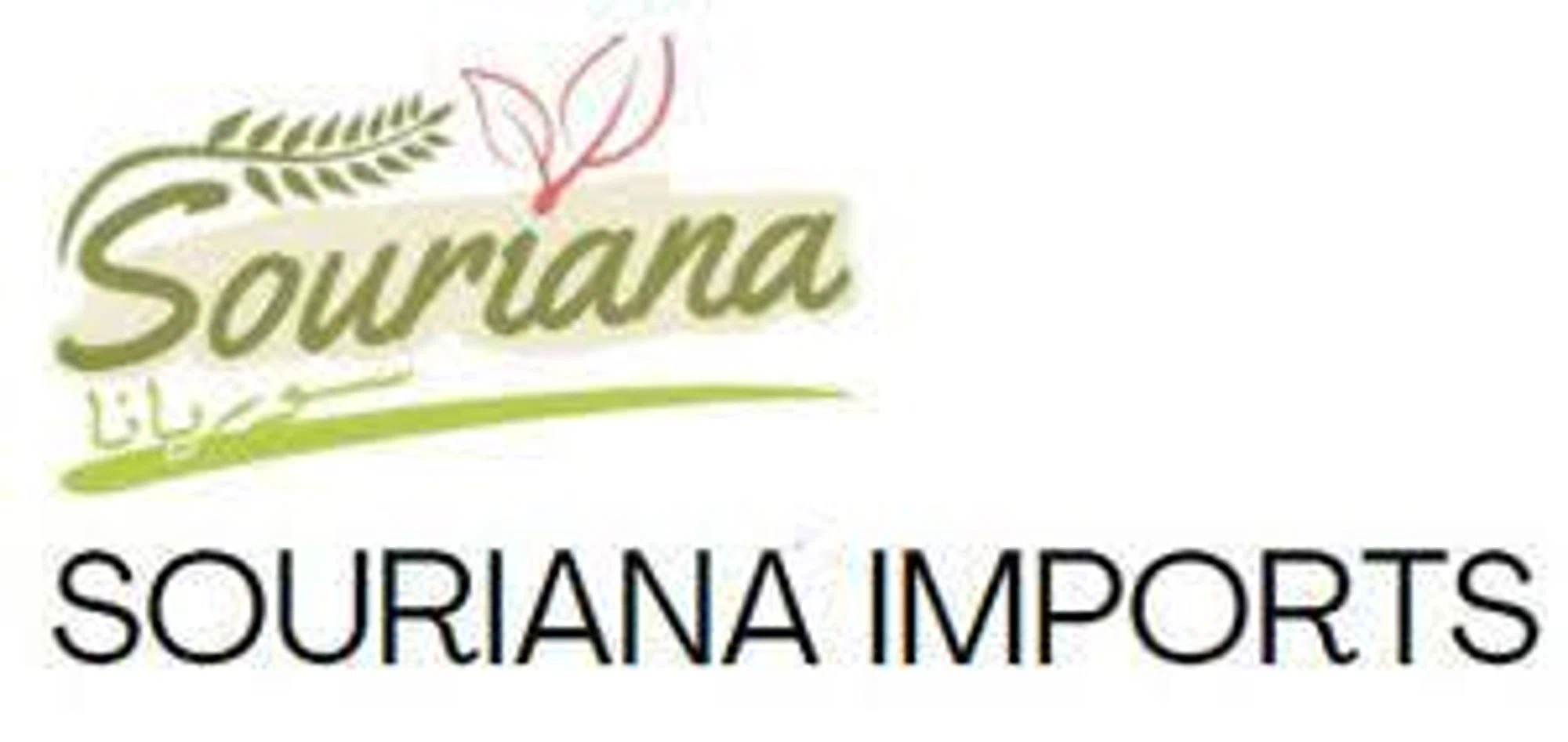 SOURIANA IMPORTS Promo Code — 75 Off in July 2024