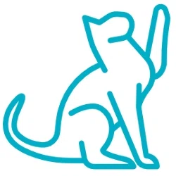 South Flower Mound Animal Hospital Promo Code