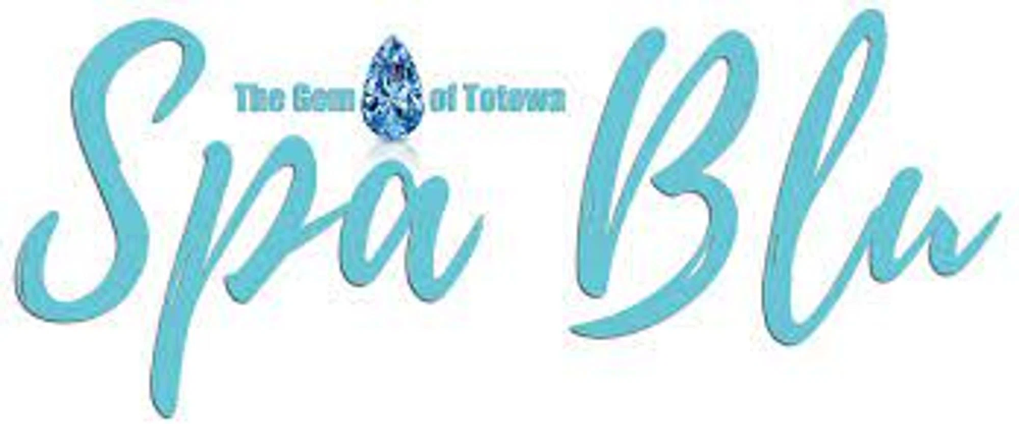 Spa Blu NJ Merchant Logo