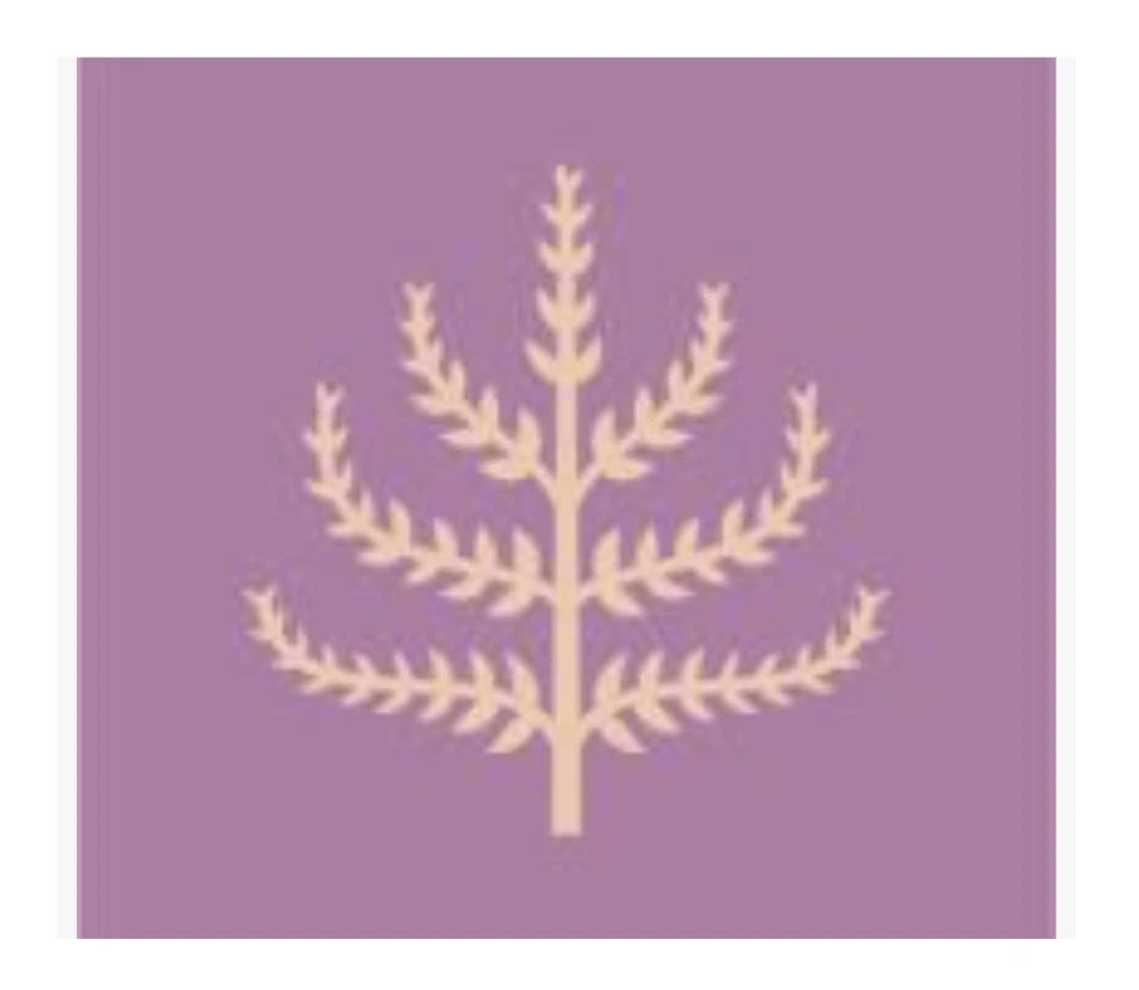 Spring & Mulberry Promo Code
