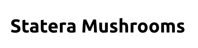 Statera Mushrooms Merchant Logo