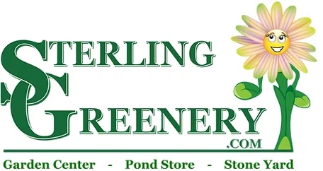 Sterling Greenery Merchant Logo