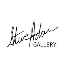Steve Adam Promo Code