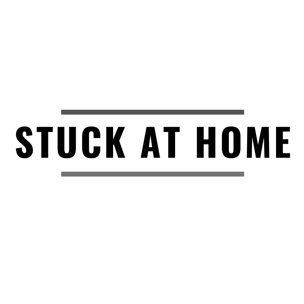 20-off-stuck-at-ho-me-promo-code-coupons-january-2024