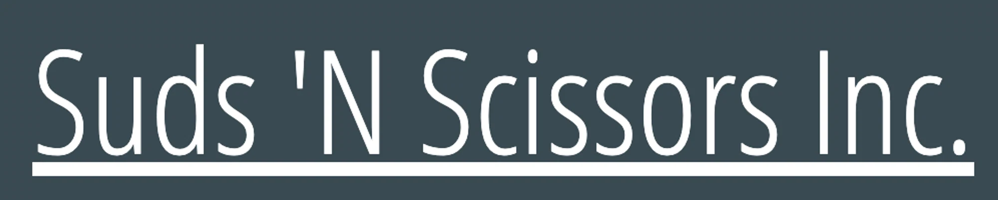 SUDS 'N SCISSORS Promo Code — 25 Off in August 2024