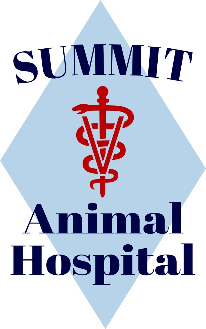 SUMMIT ANIMAL HOSPITAL Promo Code — 50 Off 2024
