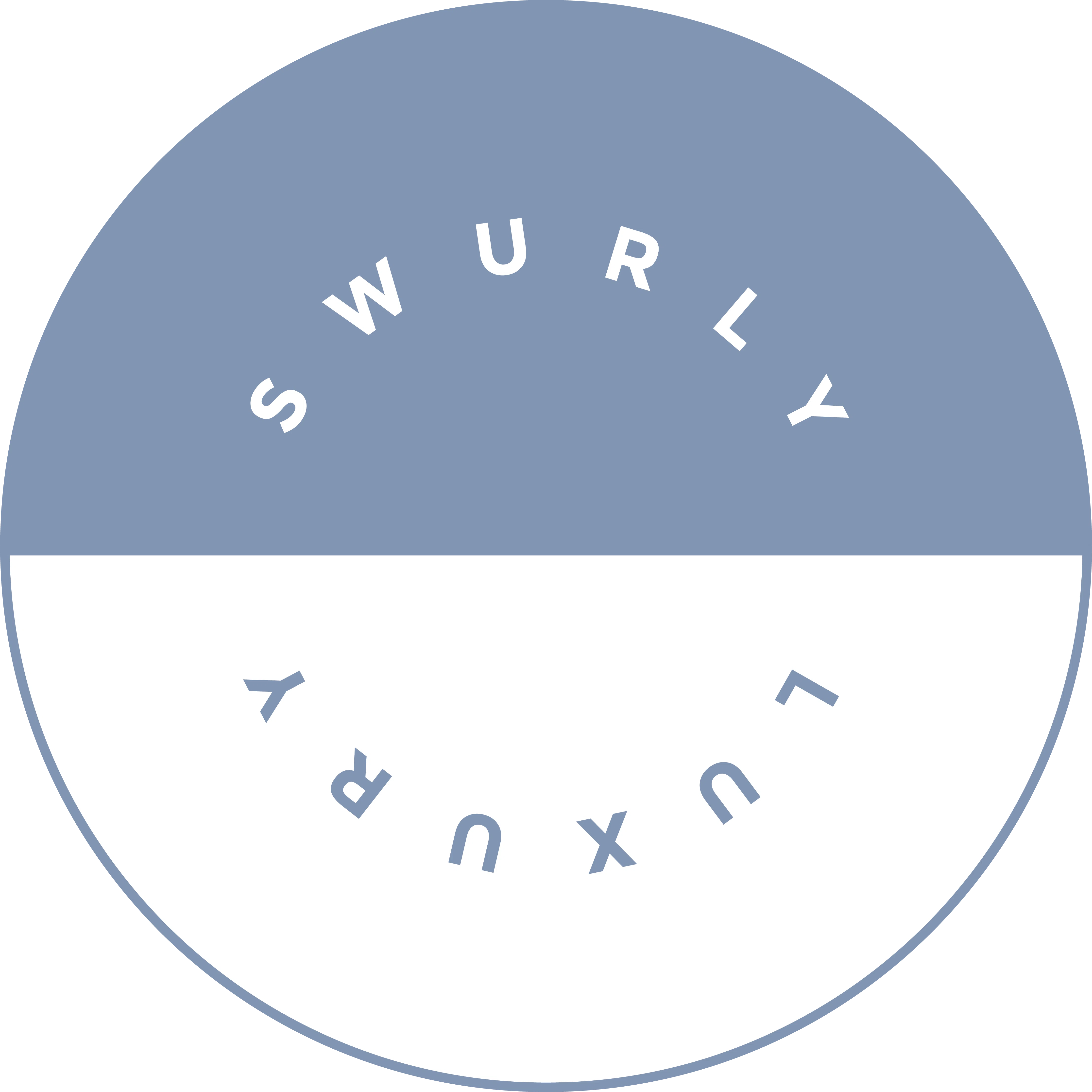 Swurly Promo Code