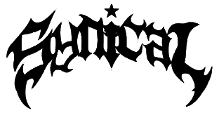 Synical Global Merchant Logo