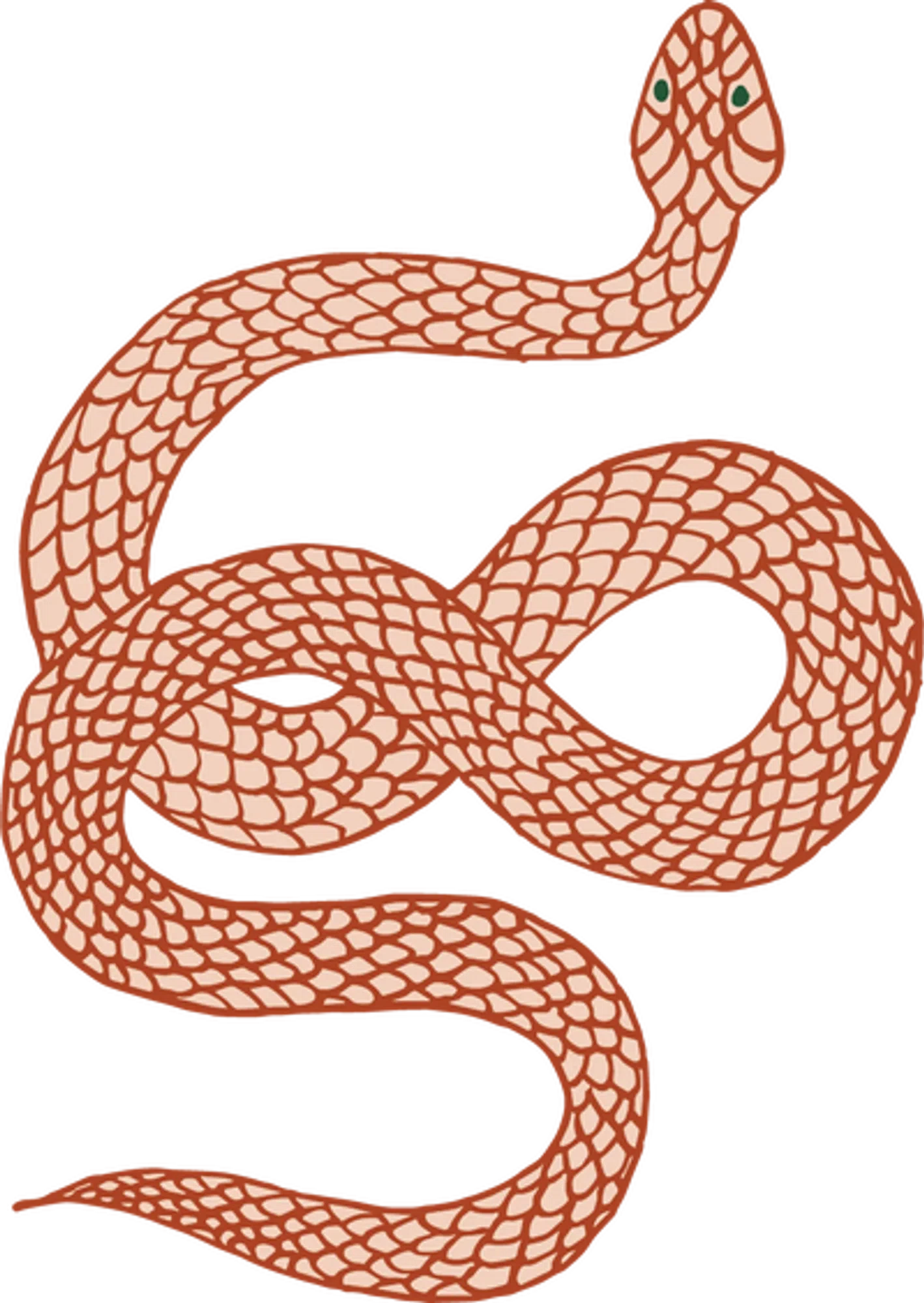 TALL TUMBLEWEED Promo Code — 200 Off in Sep 2024