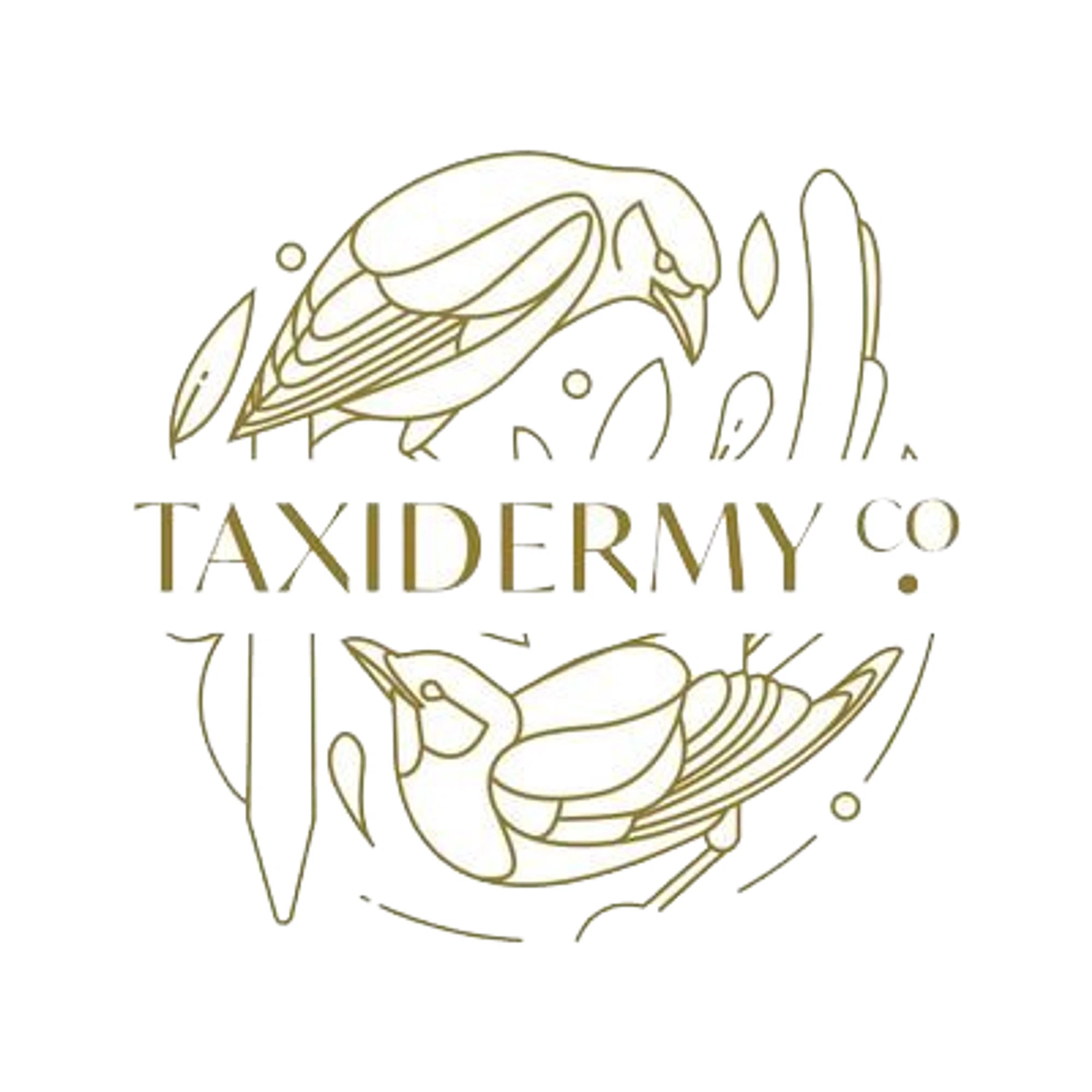Taxidermy Co. UK Merchant Logo