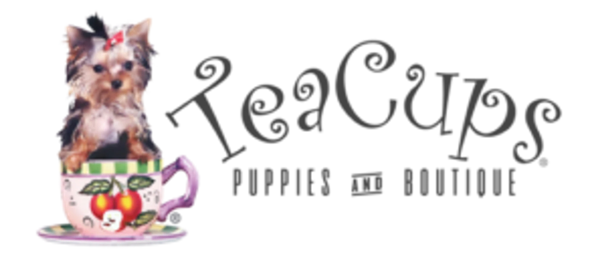 TEACUPS, PUPPIES & BOUTIQUE Promo Code — 66 Off 2024