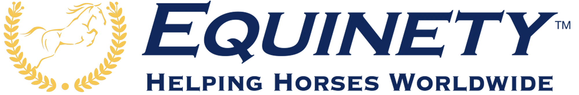Team Equinety USA Promo Code