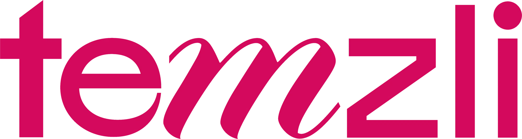Temzli Merchant Logo