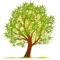 Tennessee Wholesale Nursery Merchant Logo
