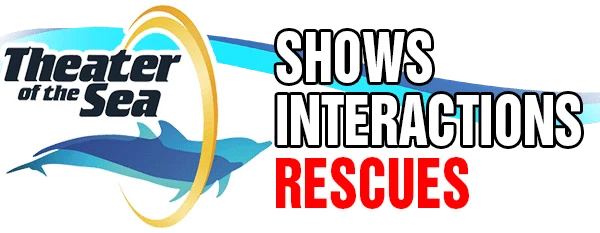 Theater of the Sea Promo Code