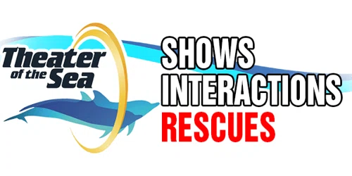 Theater of the Sea Promo Code